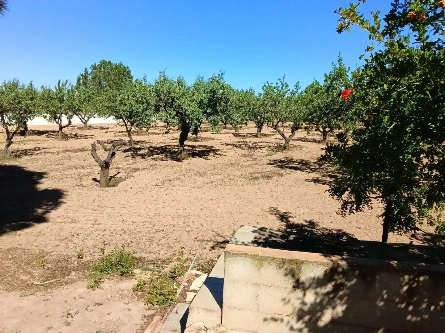 Finca rústica en venta en Fuente Álamo de Murcia con Aire acondicionado, Jardín privado y Amueblado