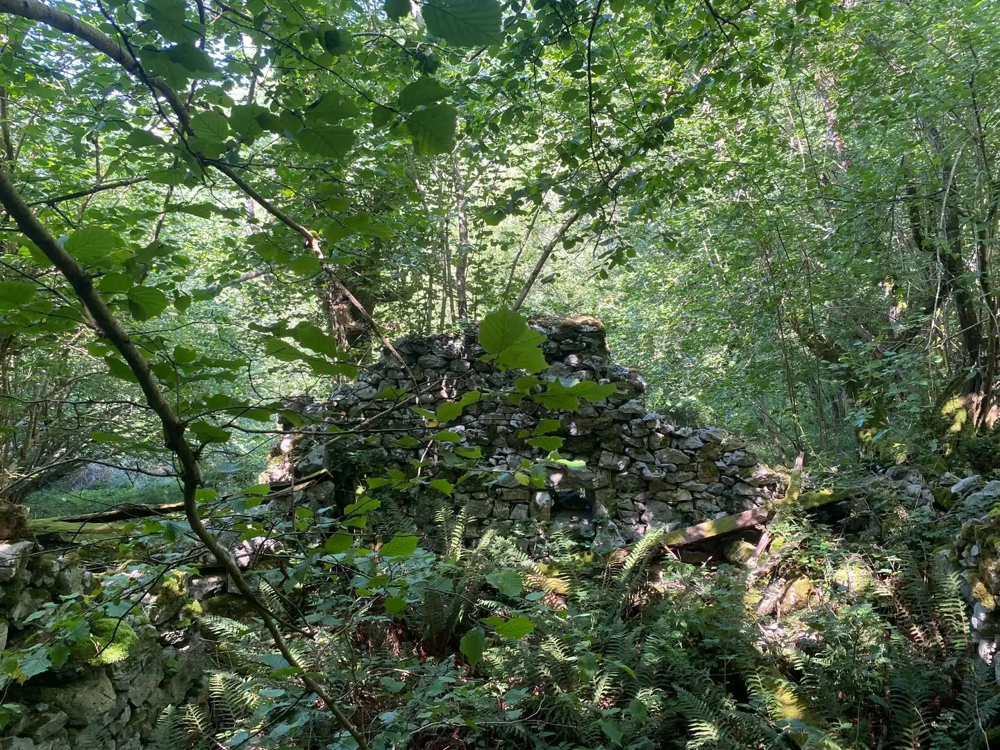 Terreno rustico in vendita a SEGÜENCO, imagen 7