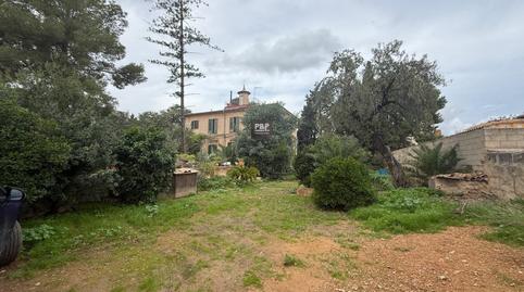 Foto 3 de Casa o xalet en venda a Son Serra - Sa Vileta,  Palma de Mallorca