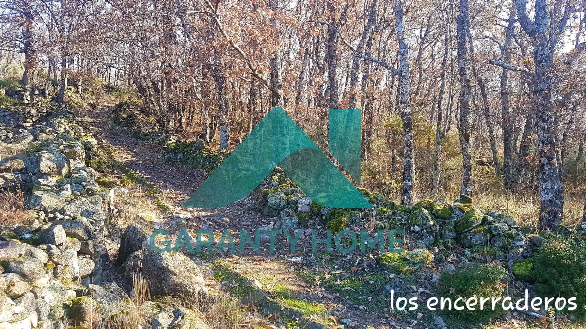 Finca rústica en venta en Aldeanueva de la Vera