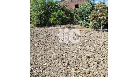 Photo 2 of Industrial land for sale in Valenzuela, Córdoba