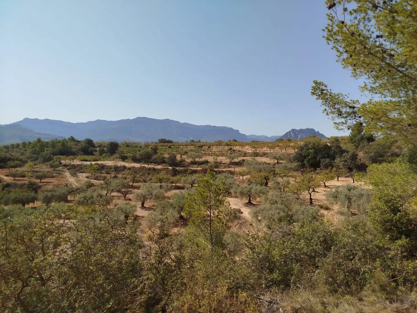 Rural land for sale in Horta de Sant Joan, imagen 3