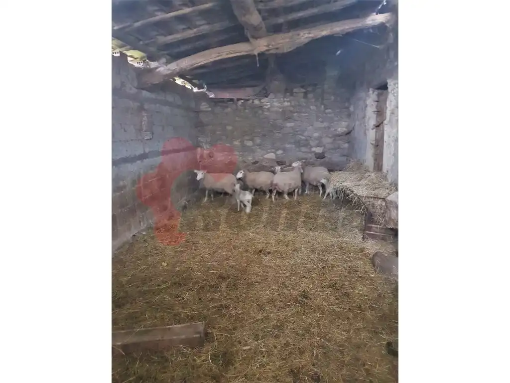 Casa en venda a Pantón, imagen 12