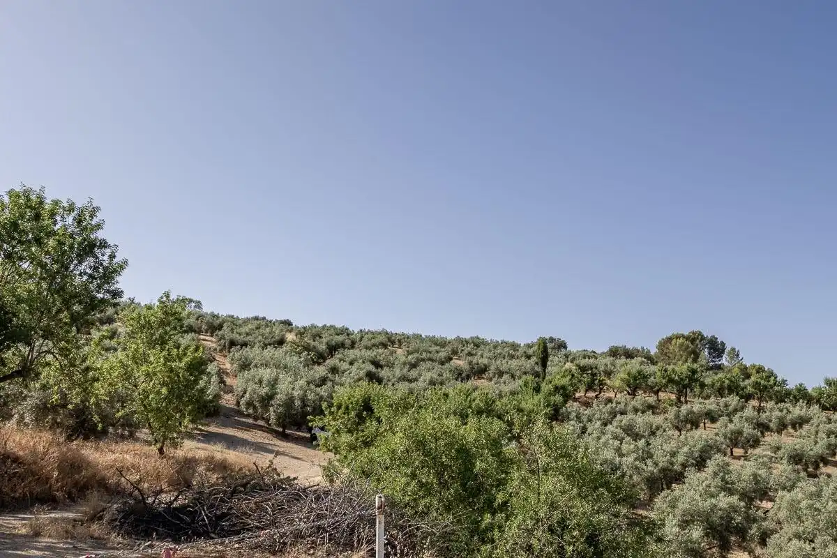 Terreno rustico in vendita a Montefrío, imagen 5