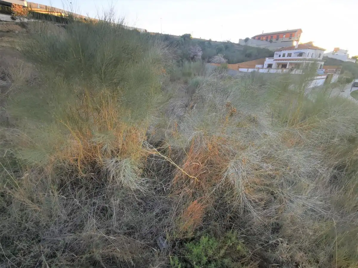 Terreno rustico in vendita a La Zubia Ciudad, imagen 7