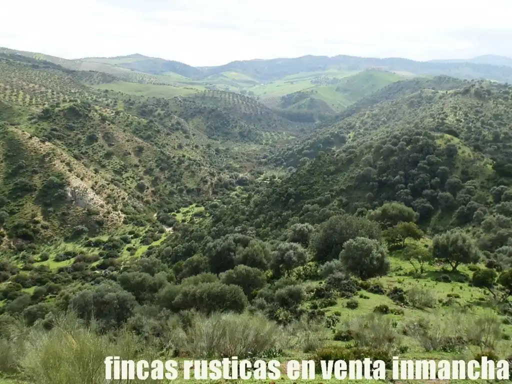 Terreno rustico in vendita a Algodonales, imagen 8