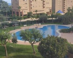 Piscina de Apartament de lloguer en Benidorm amb Terrassa