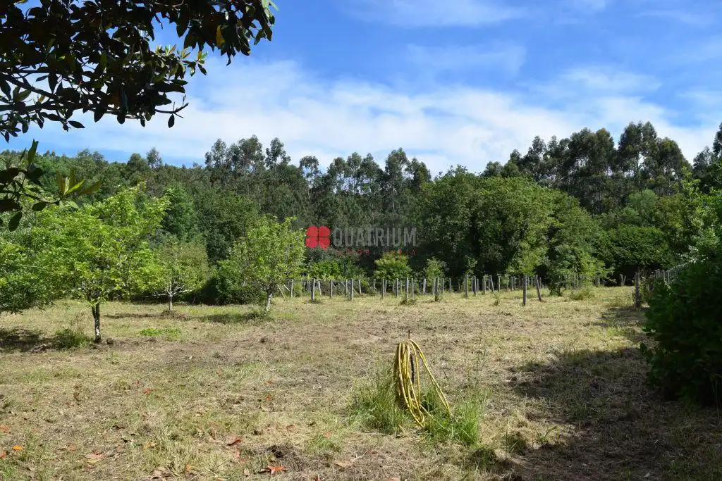 Casa o chalet en venta en Rianxo con Jardín privado