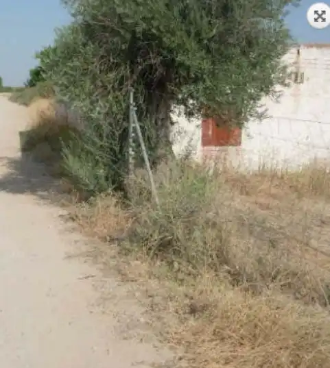 Terrenys i solars en venda a Fuensalida
