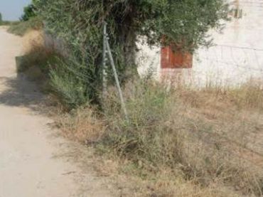 Terreno rustico in vendita a Fuensalida