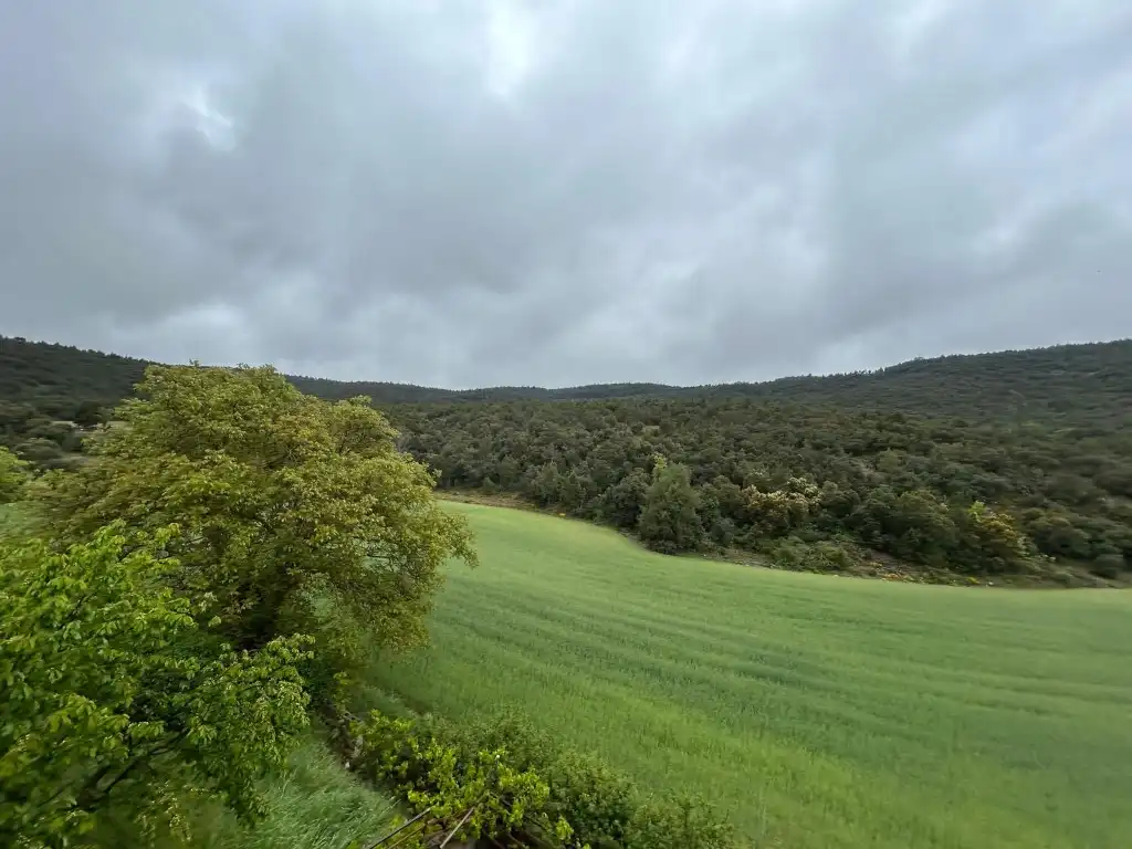 Country homes for sale in El Toro