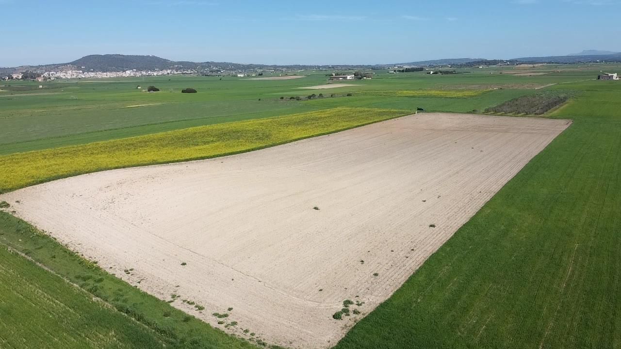 Residential for sale in Carretera de Palma, 47, Vilafranca de Bonany