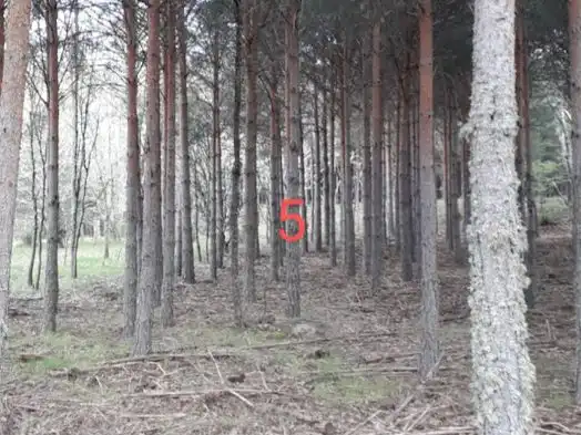 Terreno en venta en Nava de Francia