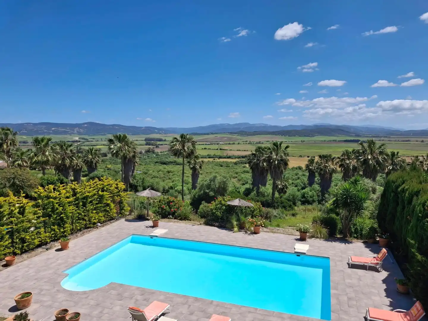 Piscina de Casa o xalet en venda en Benalup-Casas Viejas amb Aire condicionat, Calefacció i Jardí privat