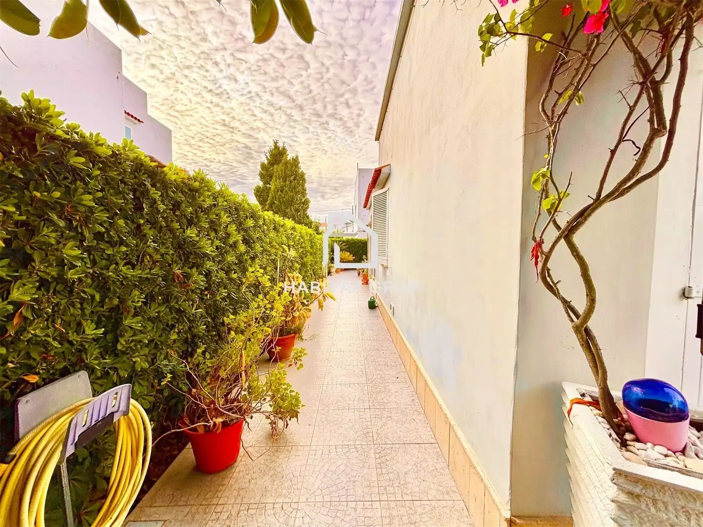 Vista exterior de Casa o xalet en venda en Ciutadella de Menorca amb Aire condicionat, Calefacció i Jardí privat