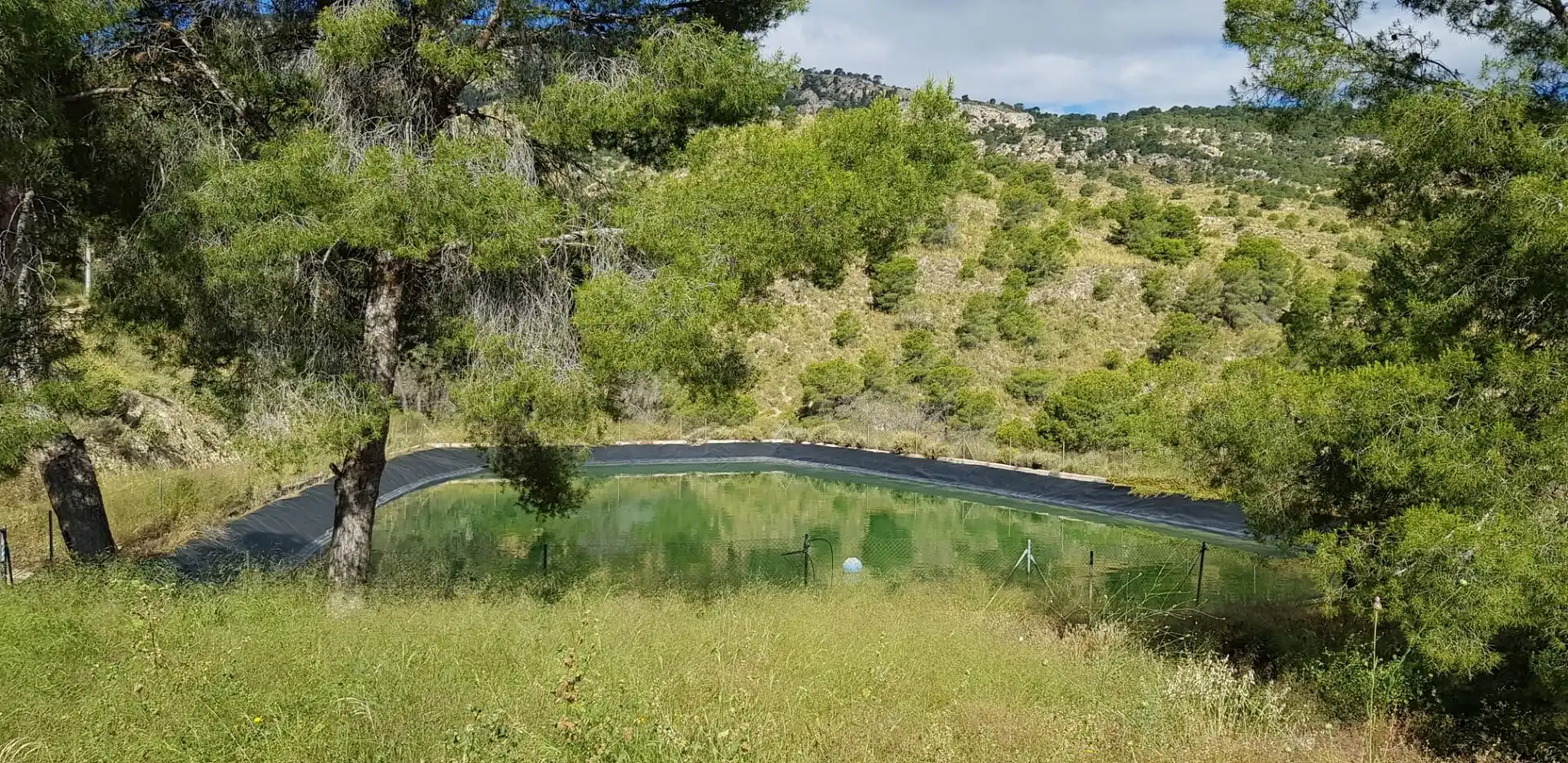 Casa o chalet en venta en Aledo con Terraza y Trastero