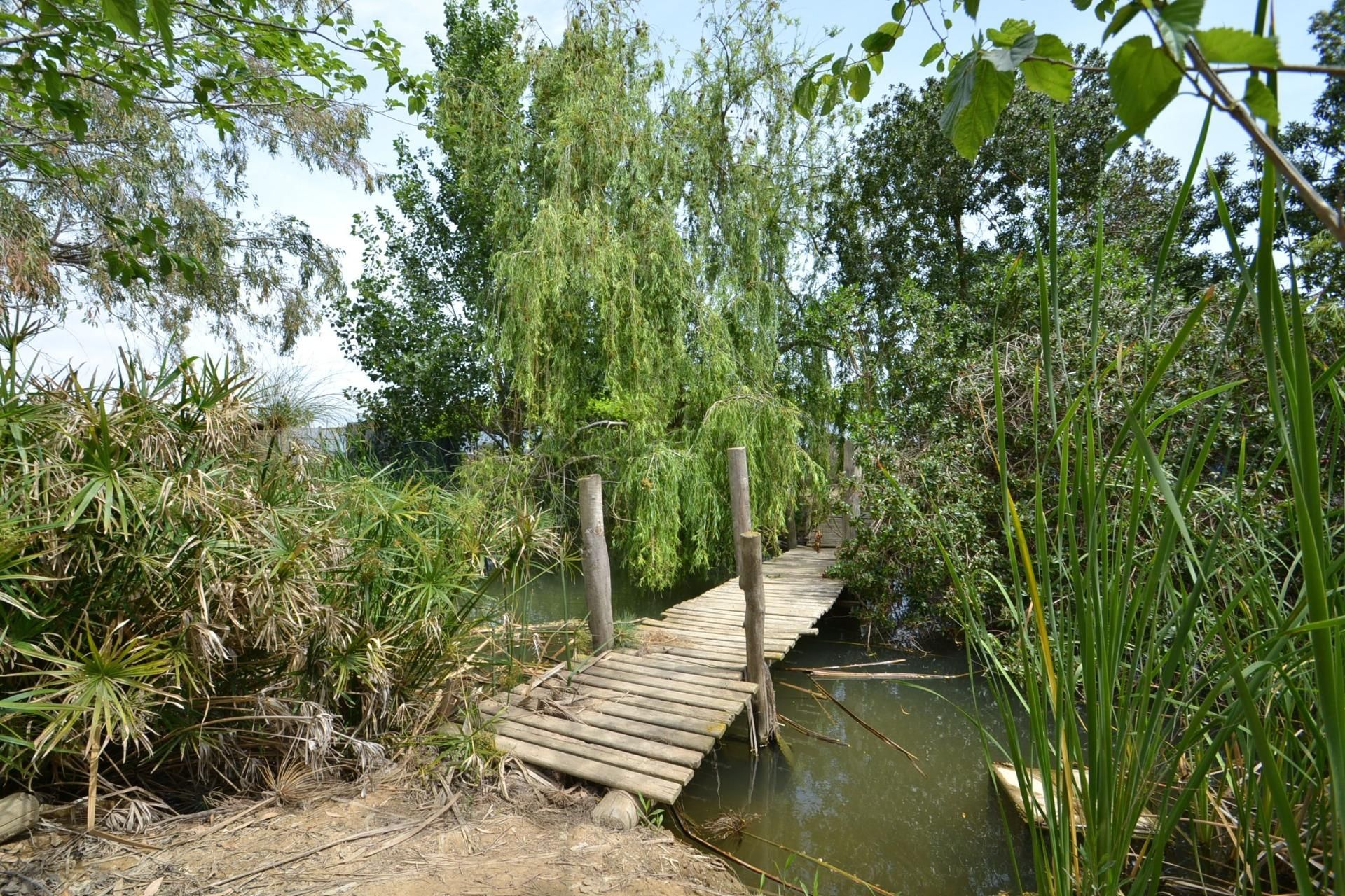 Jardín de Finca rústica en venta en Deltebre con Jardín privado