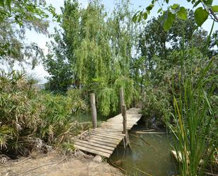 Jardí de Finca rústica en venda en Deltebre