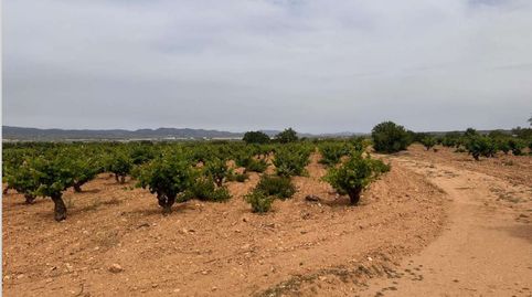 Foto 5 de Residencial en venta en Polígono 20. Parcela, Utiel, Valencia