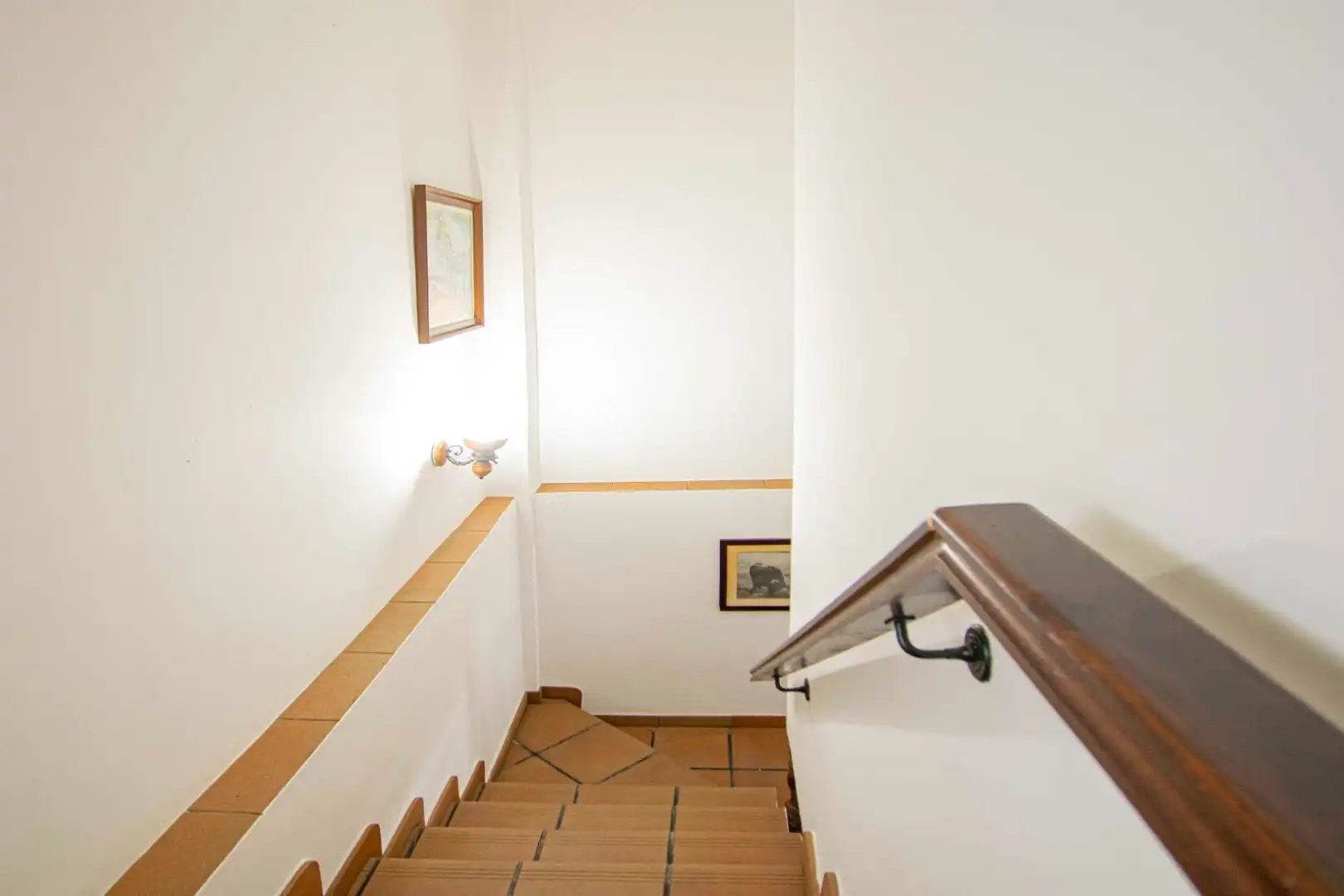 Gewerbefläche zum Verkauf in Castilblanco de los Arroyos, imagen 29