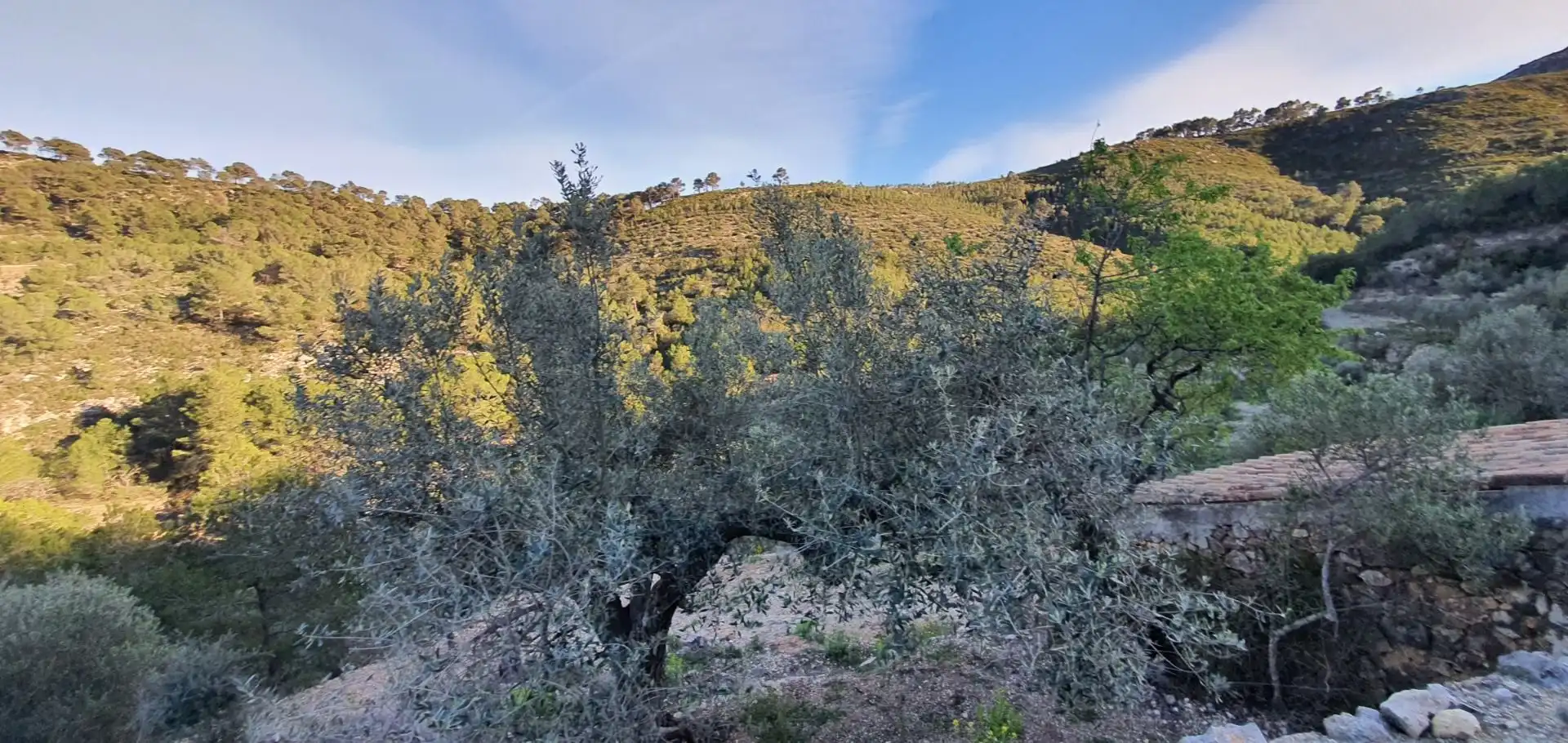 Casa o chalet en venta en Rasquera