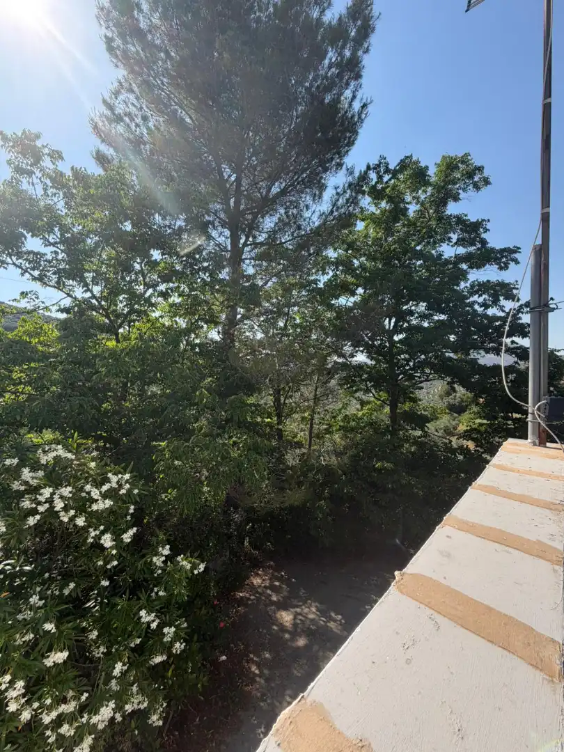 Terraza de Finca rústica en venta en Los Villares con Terraza, Trastero y Piscina