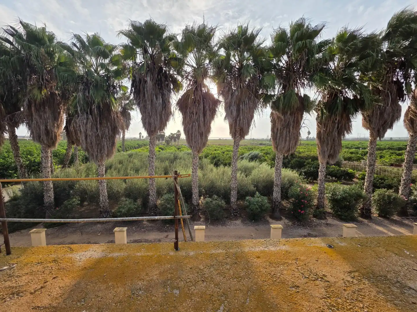 Rural land for sale in Carretera PEREZ LOS, imagen 9