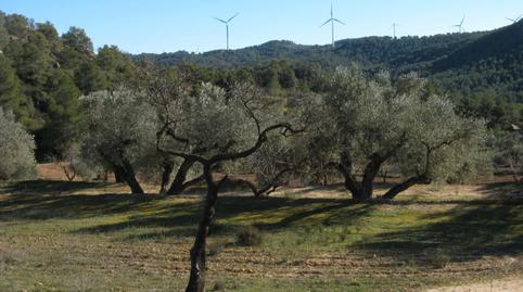 Foto 5 de Terreno en venta en Carrer Pervindre, 1, Caseres, Tarragona