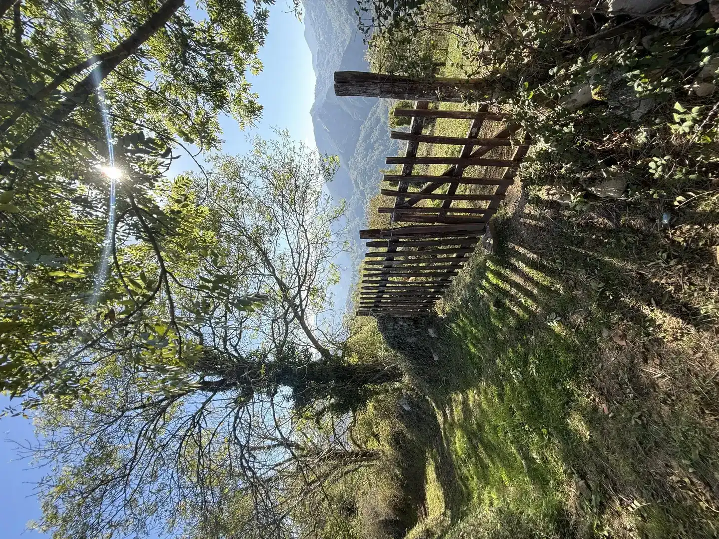 Jardí de Finca rústica en venda en Proaza