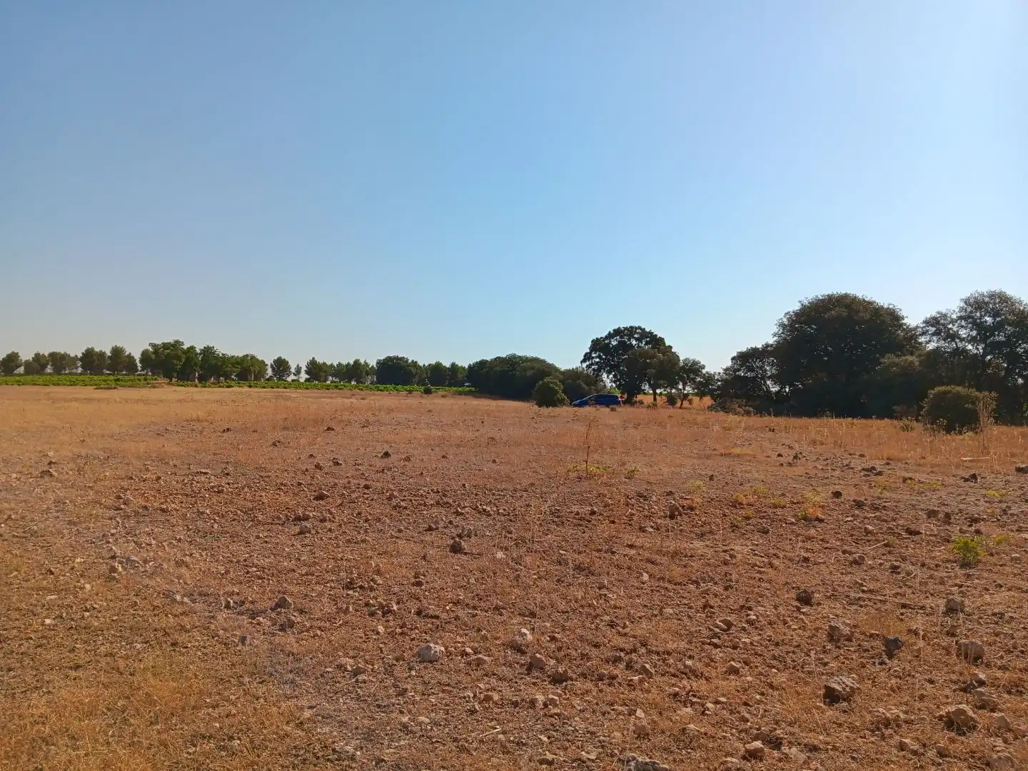 Terreno en venta en Pedro Muñoz