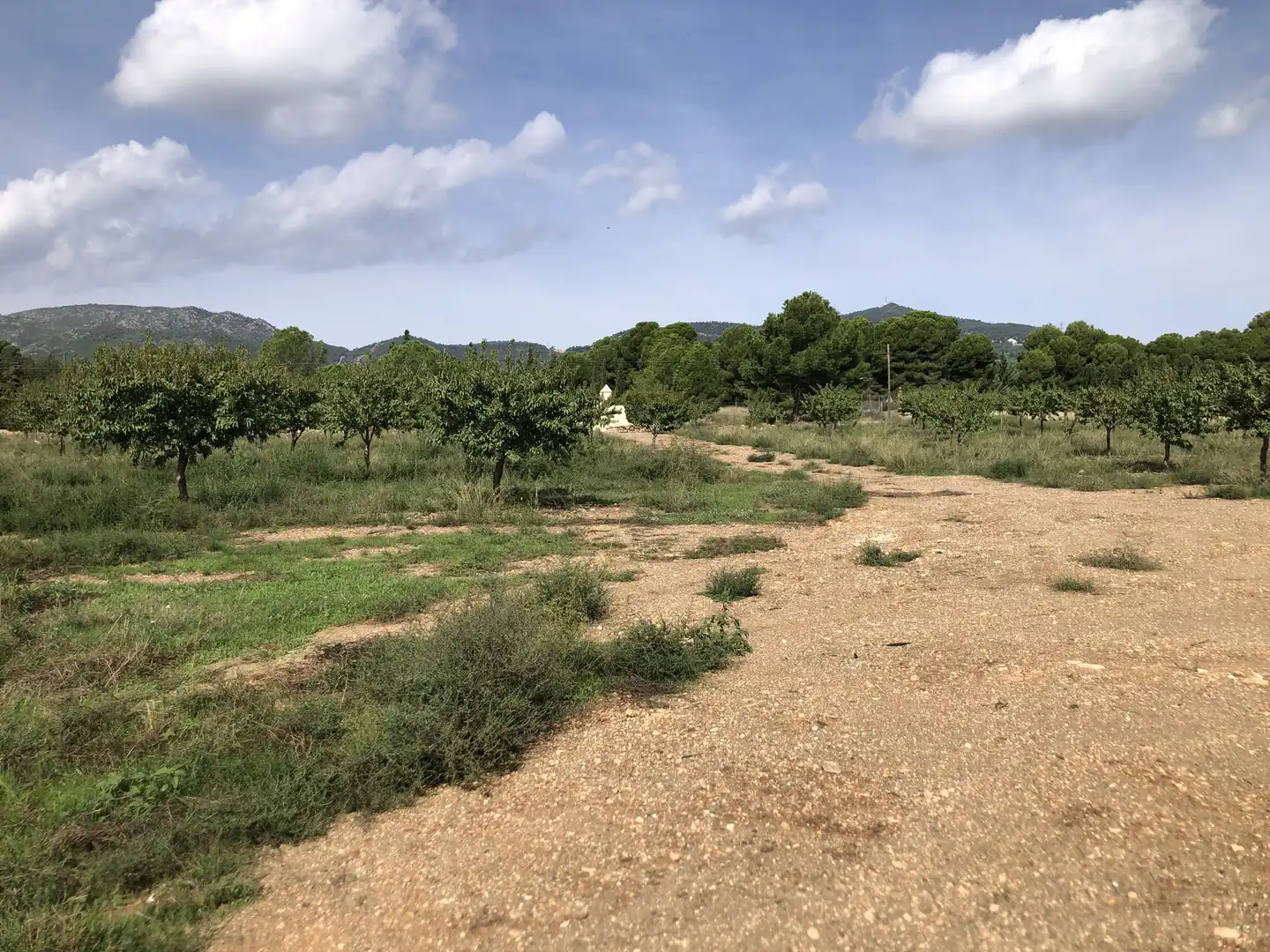 Terreno en venta en Valls
