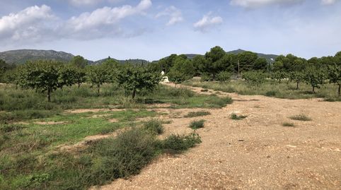 Foto 3 von Grundstücke zum Verkauf in N/a, -1, Valls, Tarragona