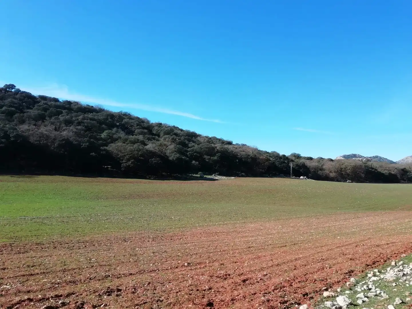 Casa rústica amb jardí en venda a Zafarraya, imagen 37