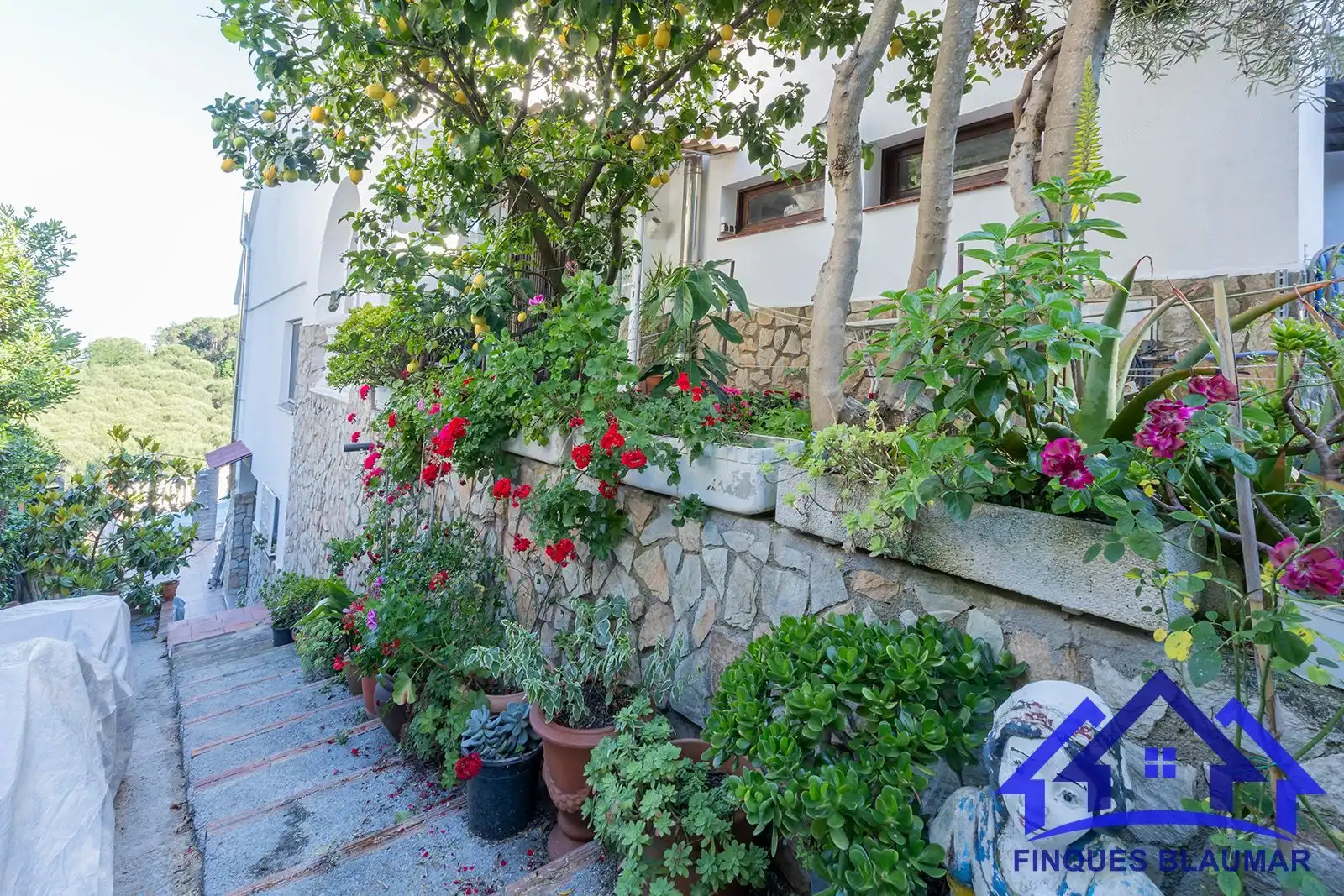 Vista exterior de Casa o xalet en venda en Sant Iscle de Vallalta amb Aire condicionat, Calefacció i Jardí privat
