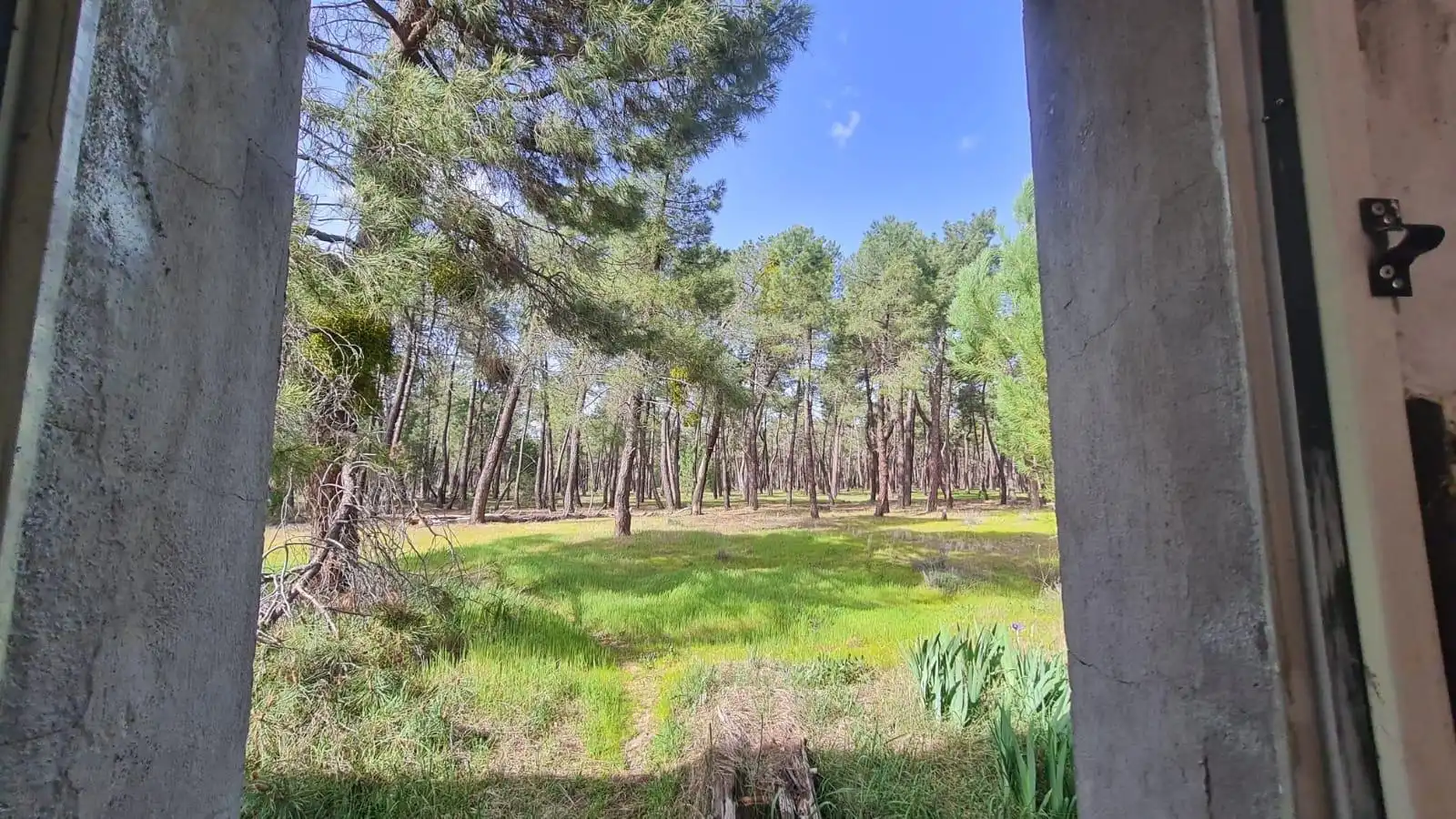 Casa o chalet en venta en Mojados con Calefacción, Jardín privado y Terraza