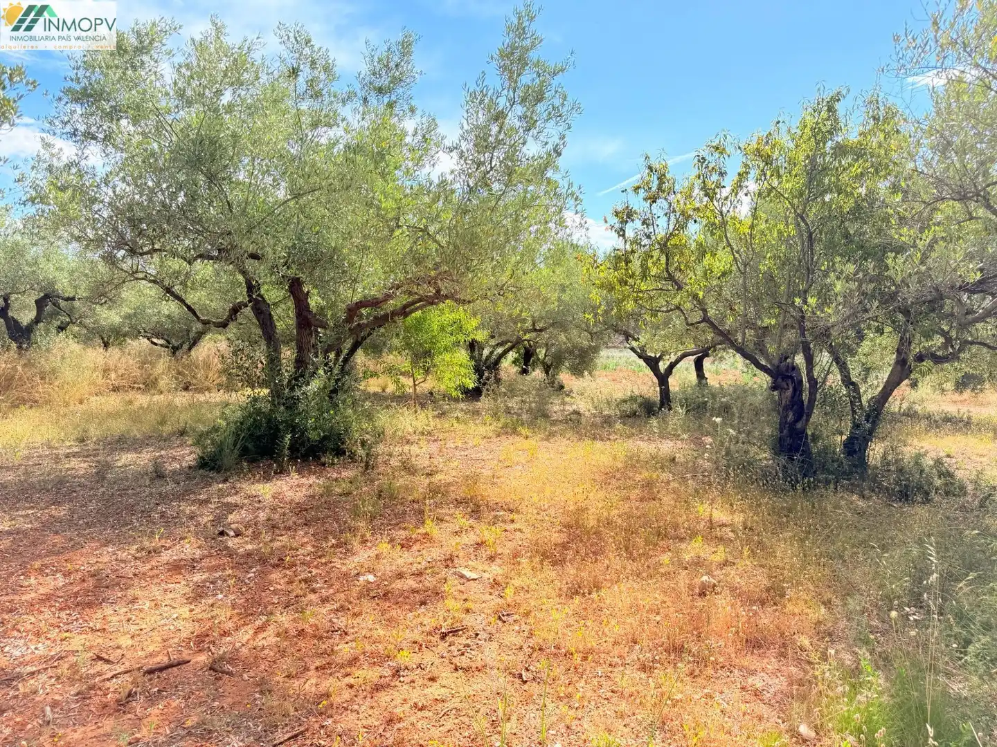 Terreny rústic en venda a Las Atalayas - Urmi - Cerro de Mar, imagen 8