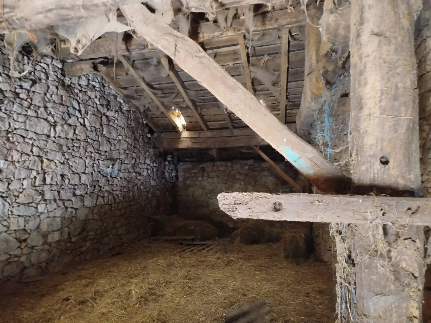 Casa o chalet en venta en Rionansa
