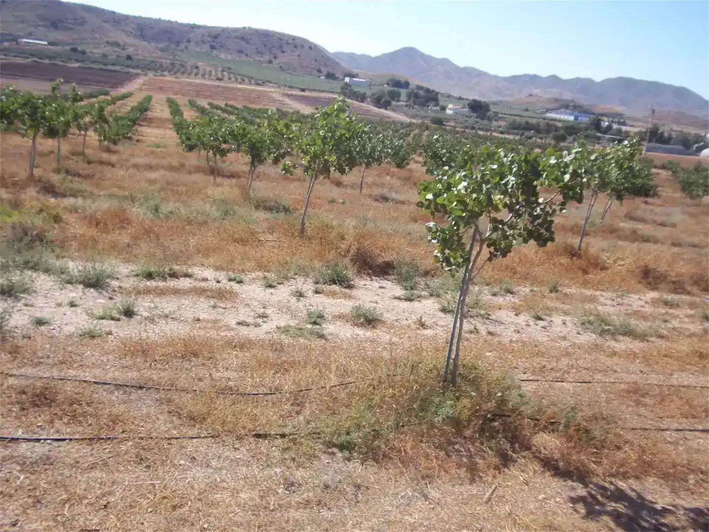 Casa o chalet en venta en Lorca con Aire acondicionado