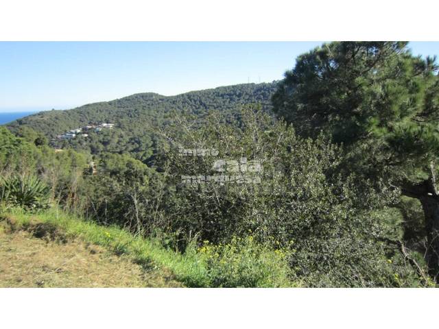 Terreno residencial en Venta en Sa Riera - Sa Fontansa