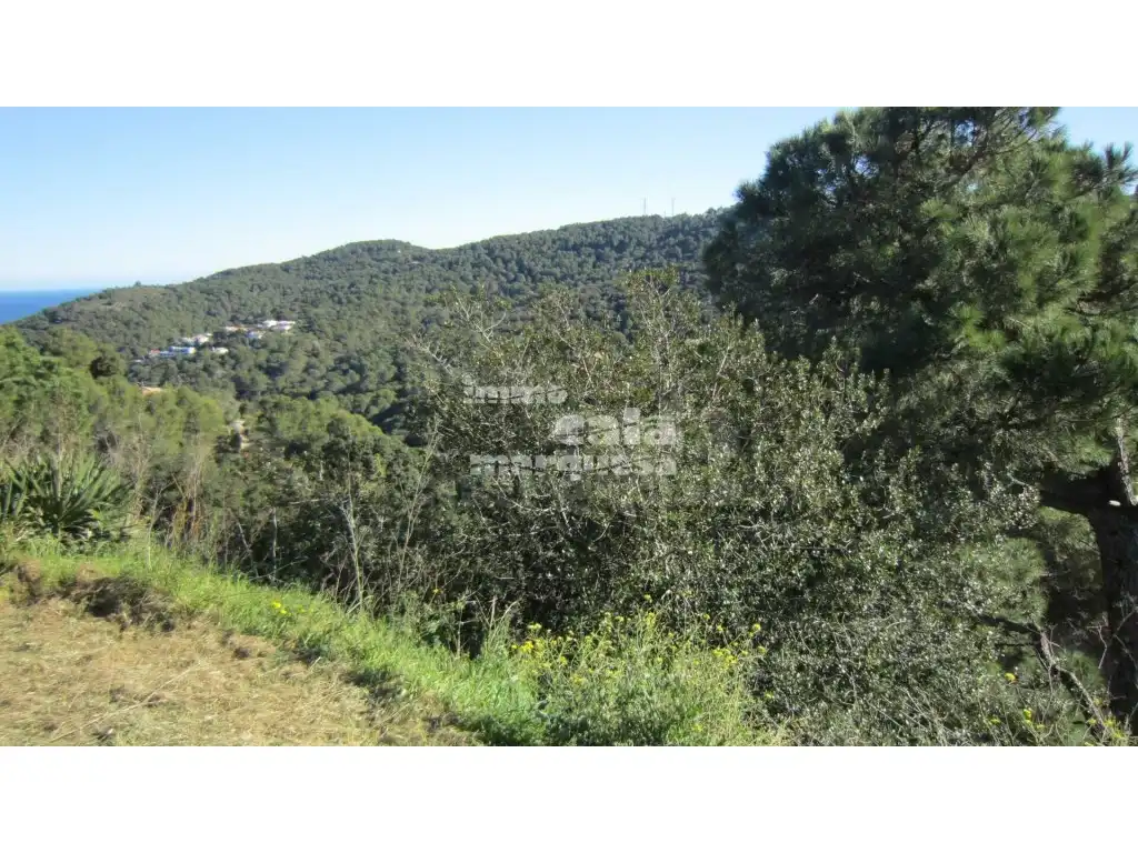 Terreny residencial en venda a Sa Riera - Sa Fontansa