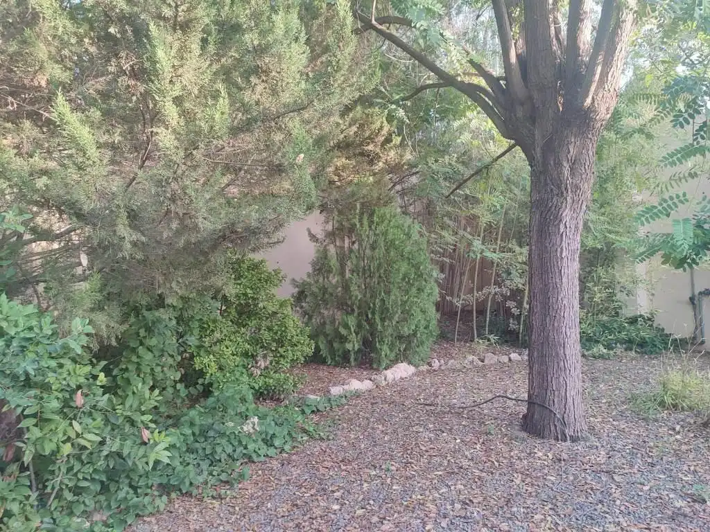 Jardí de Casa o xalet en venda en Totana amb Calefacció, Jardí privat i Terrassa