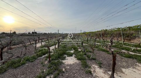 Foto 4 von Grundstücke zum Verkauf in Monforte del Cid, Alicante