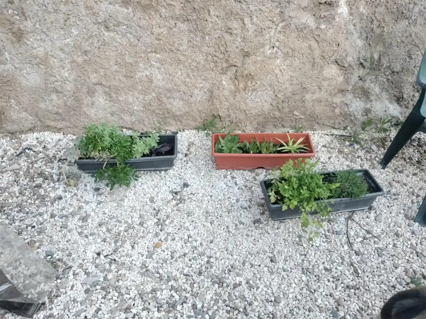 Jardí de Finca rústica en venda en Villafeliche amb Aire condicionat, Jardí privat i Balcó