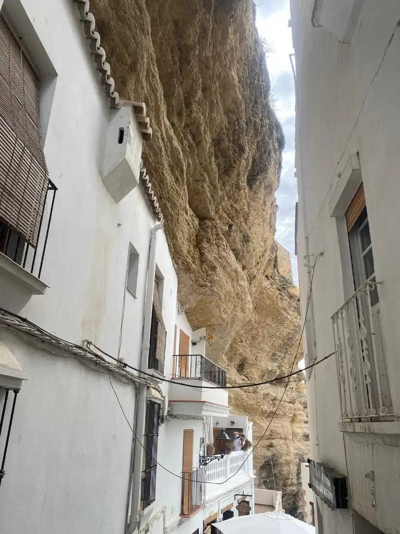 Vista exterior de Casa o chalet en venta en Setenil de las Bodegas con Jardín privado y Trastero