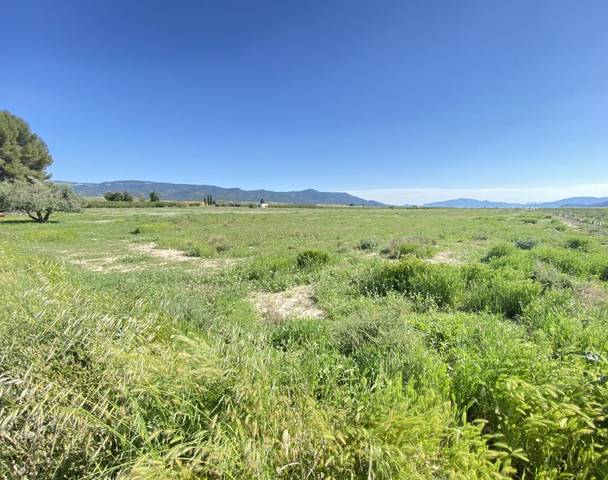 Terreno en Venta en N/A en Jumilla