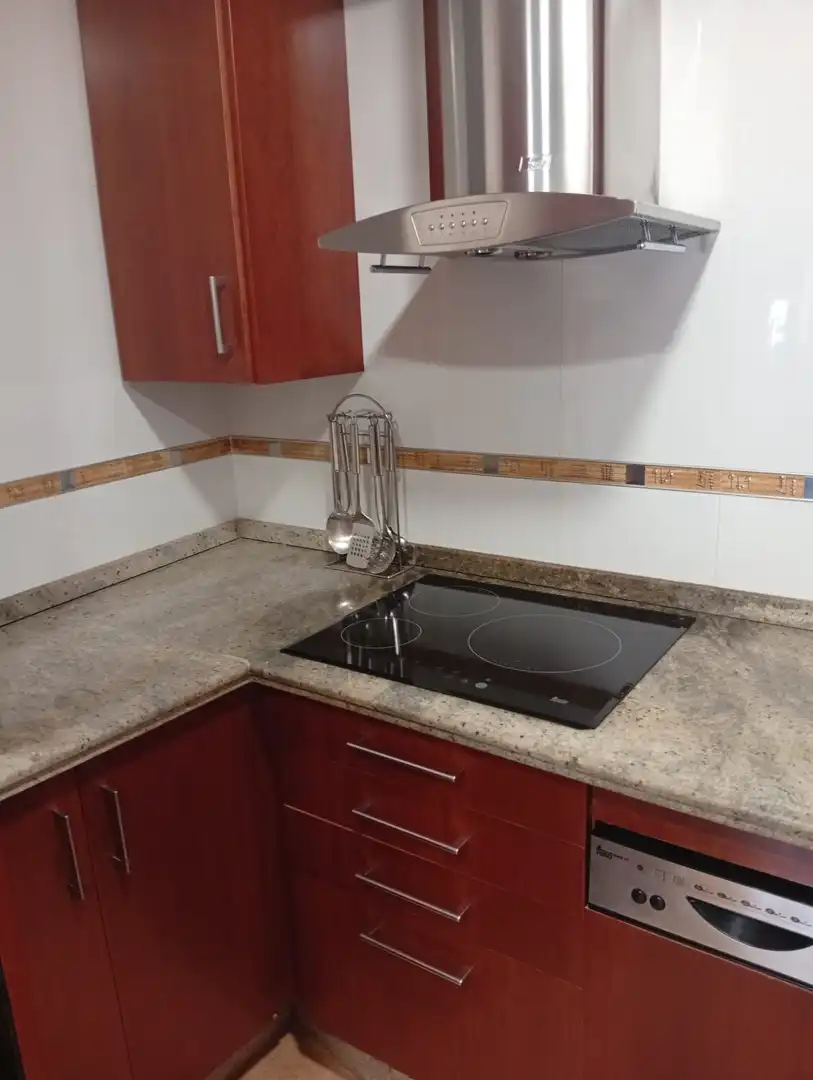 Kitchen of Flat for rent in Málaga  with Air Conditioner and Furnished
