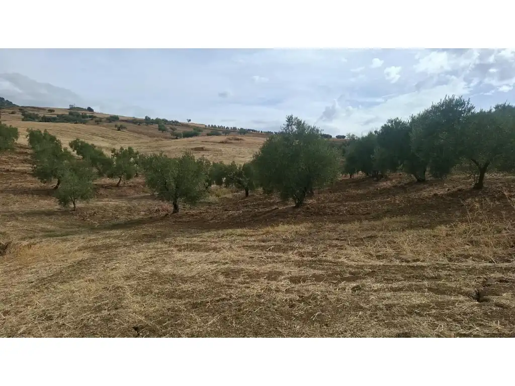 Casa rústica en venda a Terrenos Pp.4a Venta La Huerta