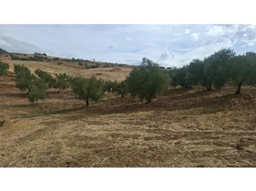Maison rustique à vendre à Terrenos Pp.4a Venta La Huerta