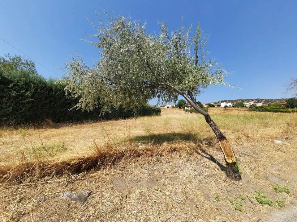 Terreno residencial en venta en Paredes de Escalona, imagen 4