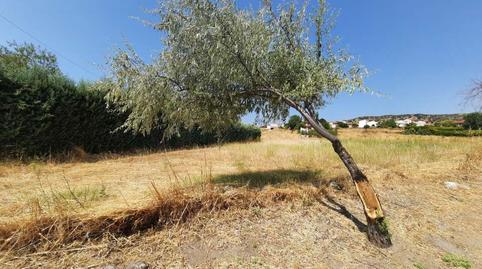 Foto 4 de Residencial en venda a Paredes de Escalona, Toledo
